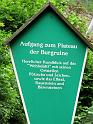 2010-06-12, Uttewalder Grund (51)